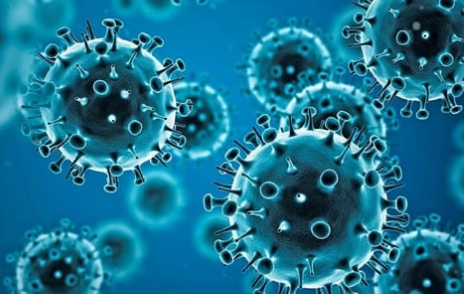 केरल में कोरोना के सबसे ज्यादा मरीज़