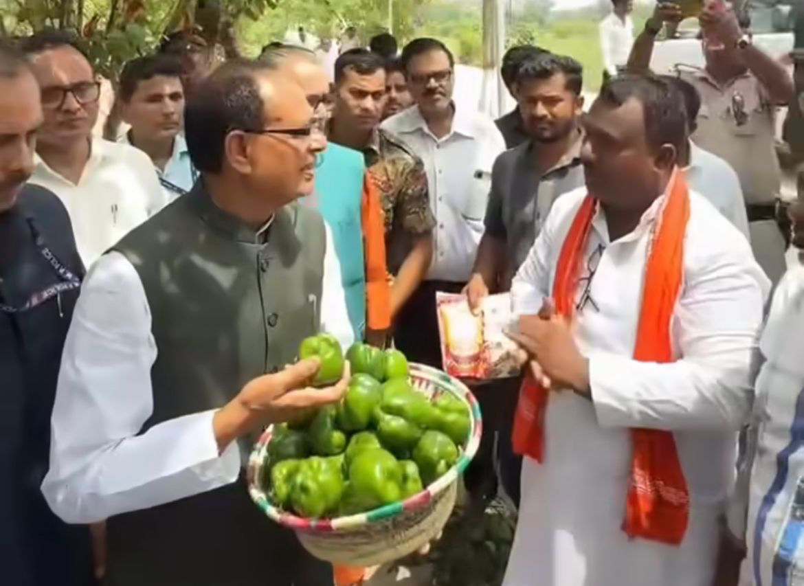 आधा एकड़ में शिमला मिर्च की खेती कर कमाए 6 लाख