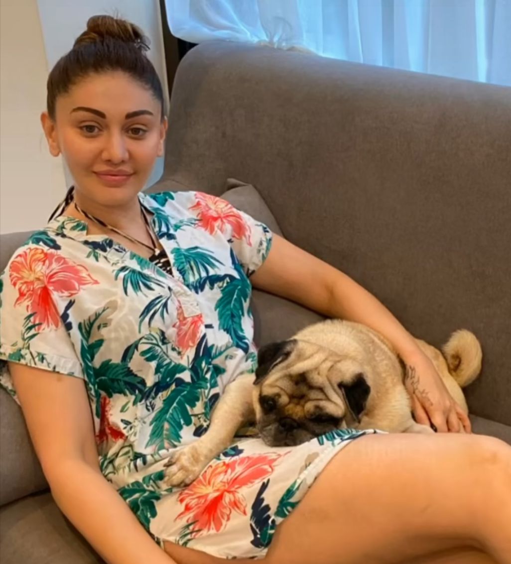 अभिनेत्री शैफाली जरीवाला की अचानक हुई मौत