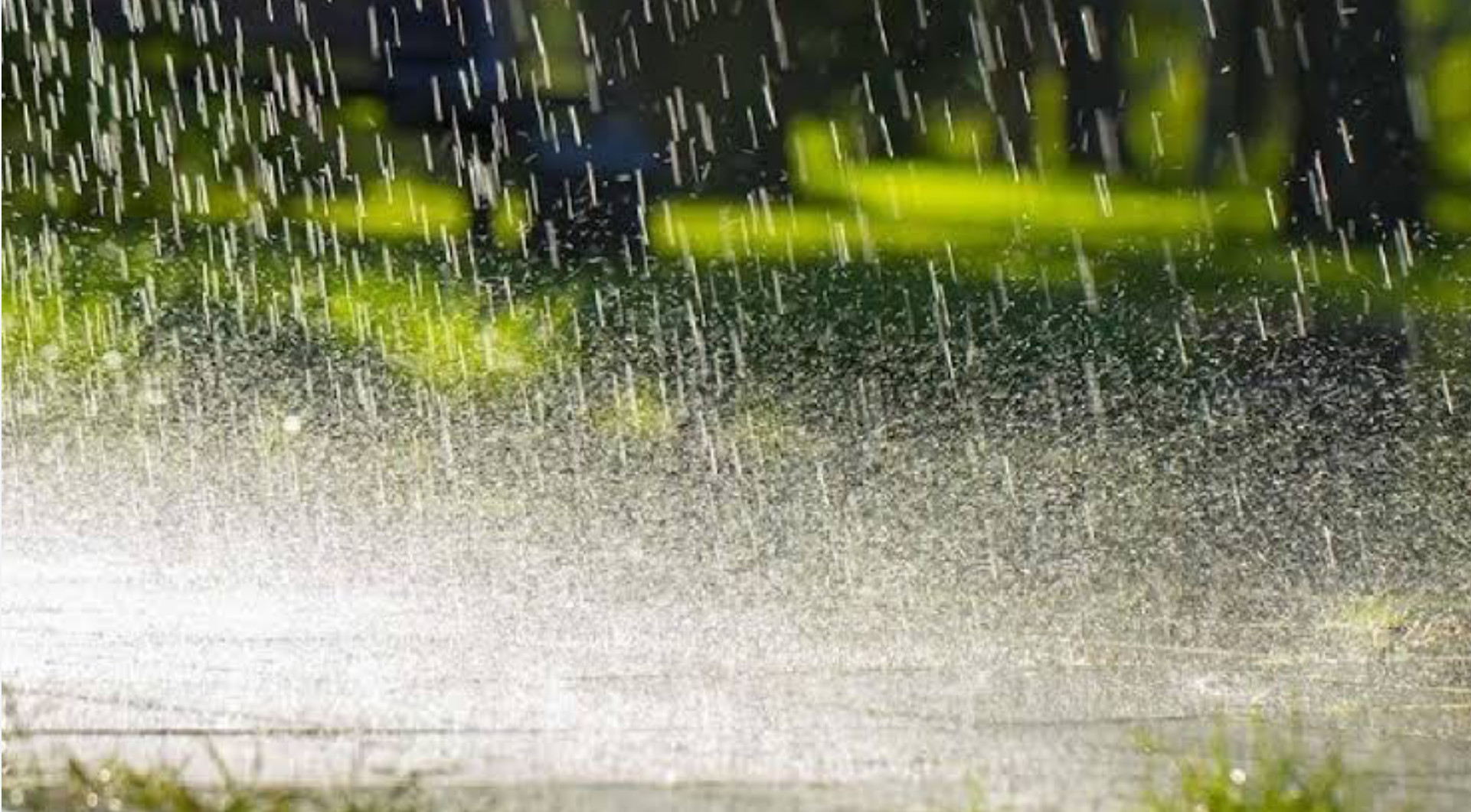 मध्य प्रदेश के कई जिलों में बारिश का दौर जारी